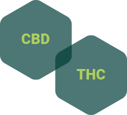 CBD and THC
