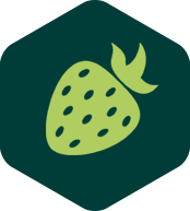 Berry icon