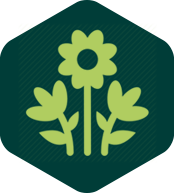 Floral icon