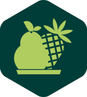 'Fruity' icon