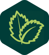Herbal icon