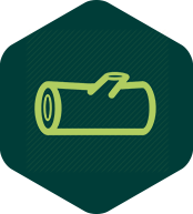 Woody icon