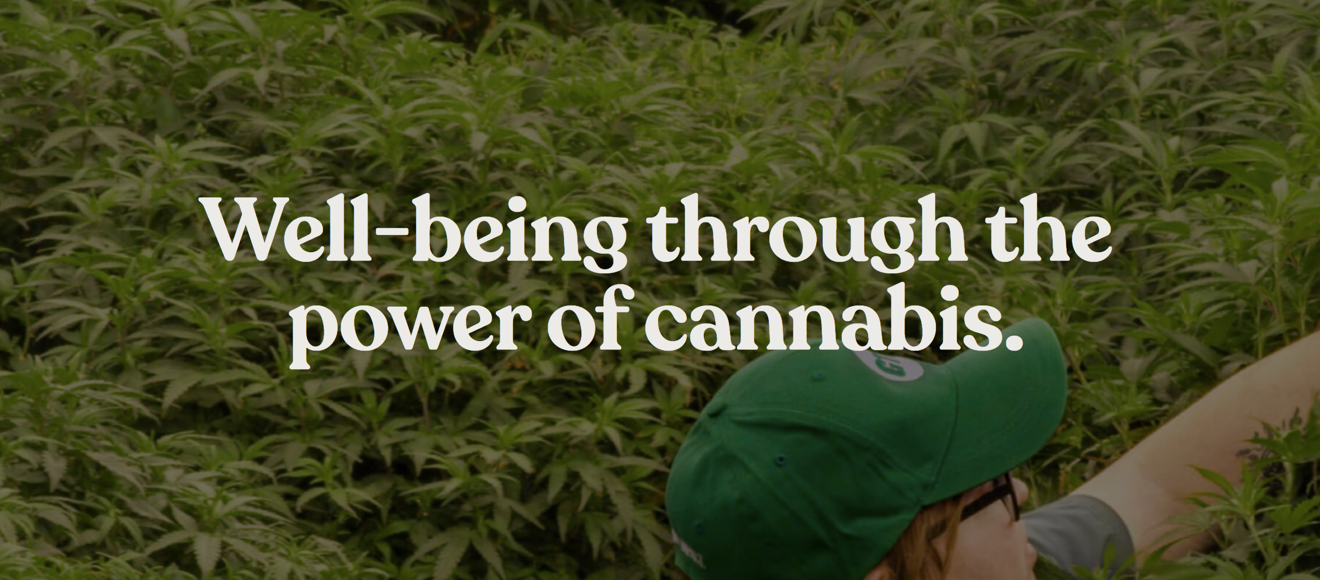 Well-being through the power of cannabis.