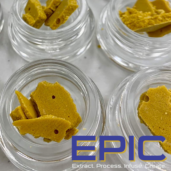 Epic Labs Pop-Up