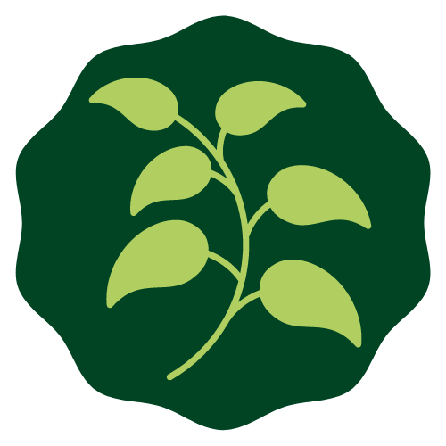 Eucalyptol icon